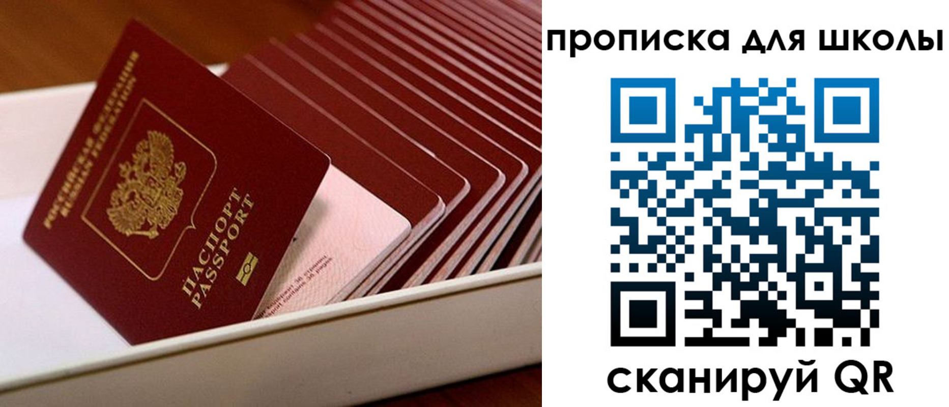 временная регистрация гарантия в Хвалынске